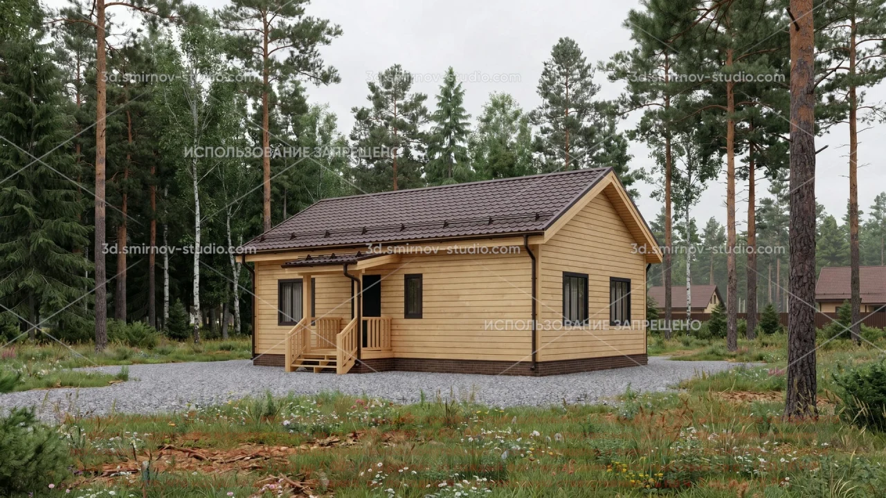 Project Image 1