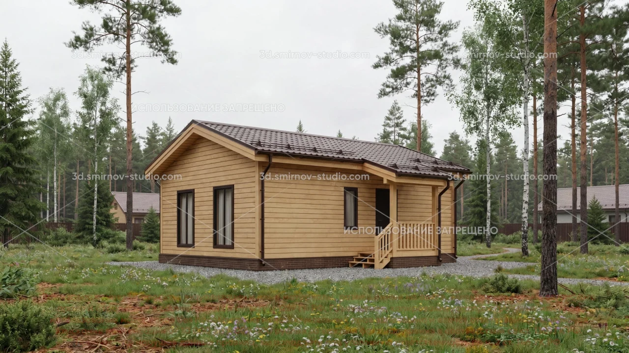 Project Image 1