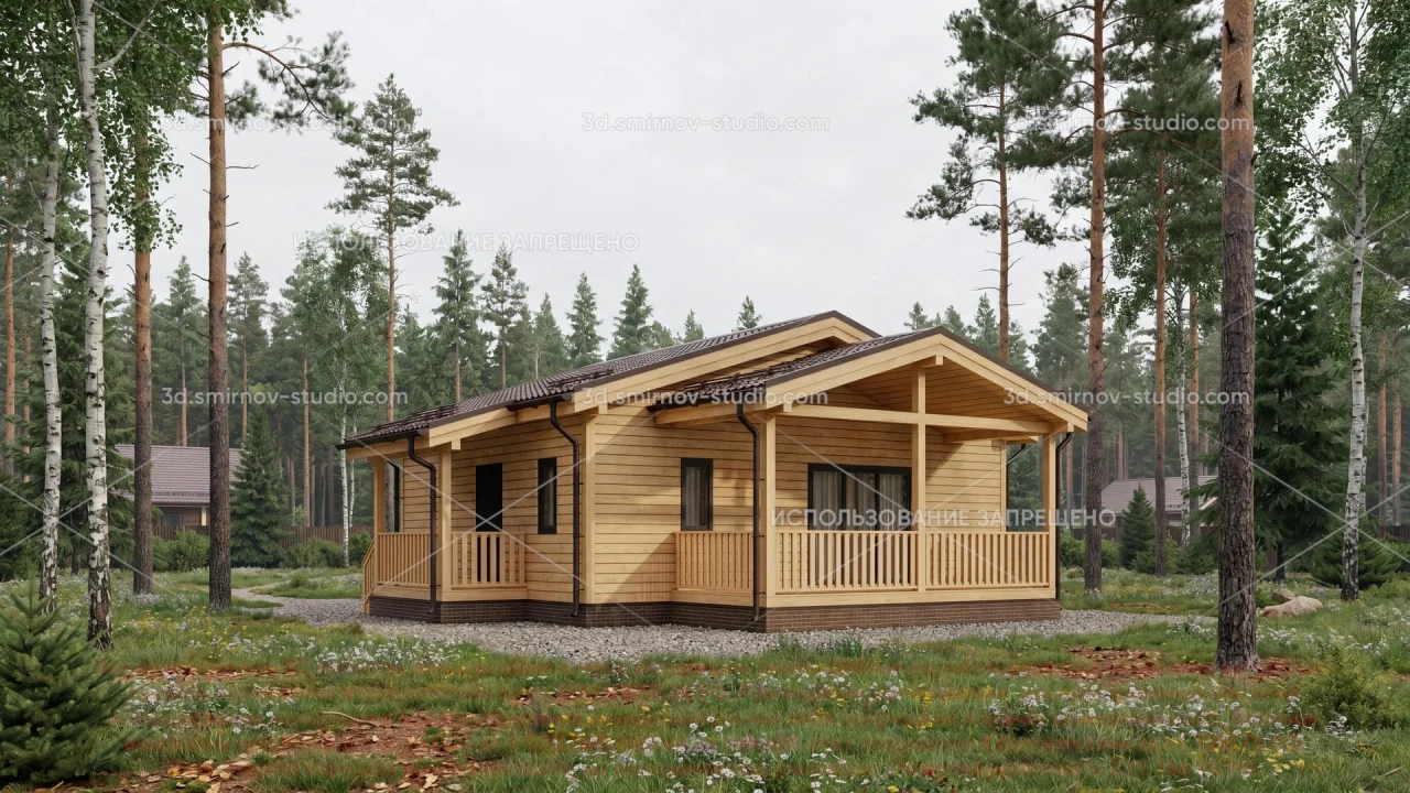 Project Image 1