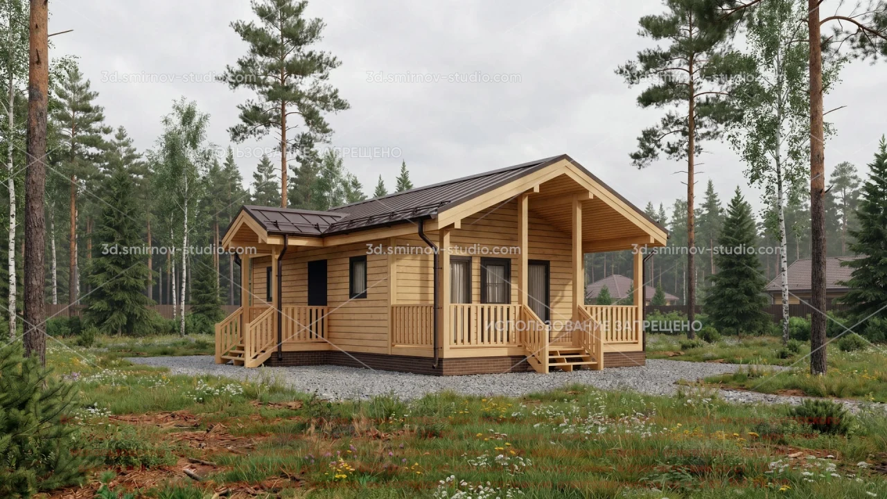 Project Image 1