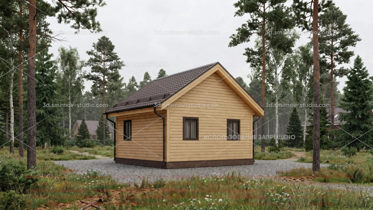 Project Image 2