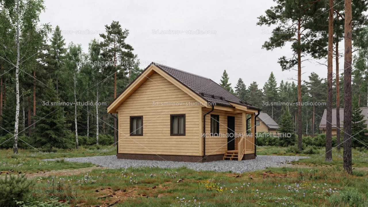 Project Image 1