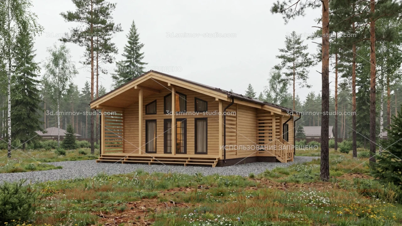 Project Image 1