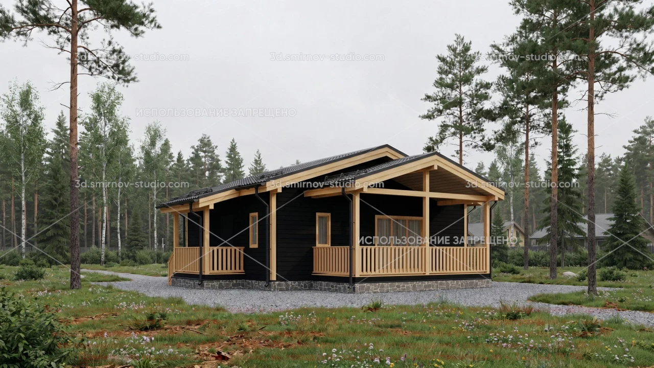 Project Image 1