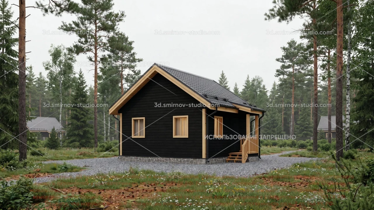 Project Image 1