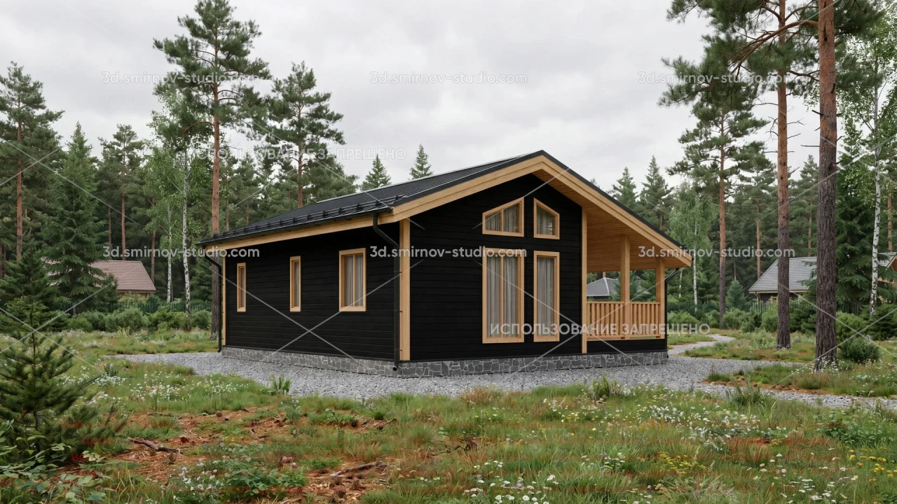 Project Image 2