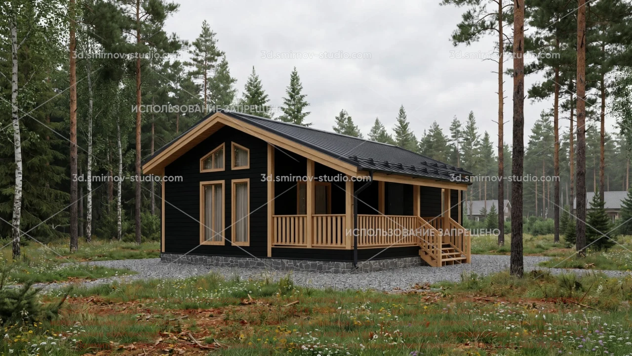 Project Image 1