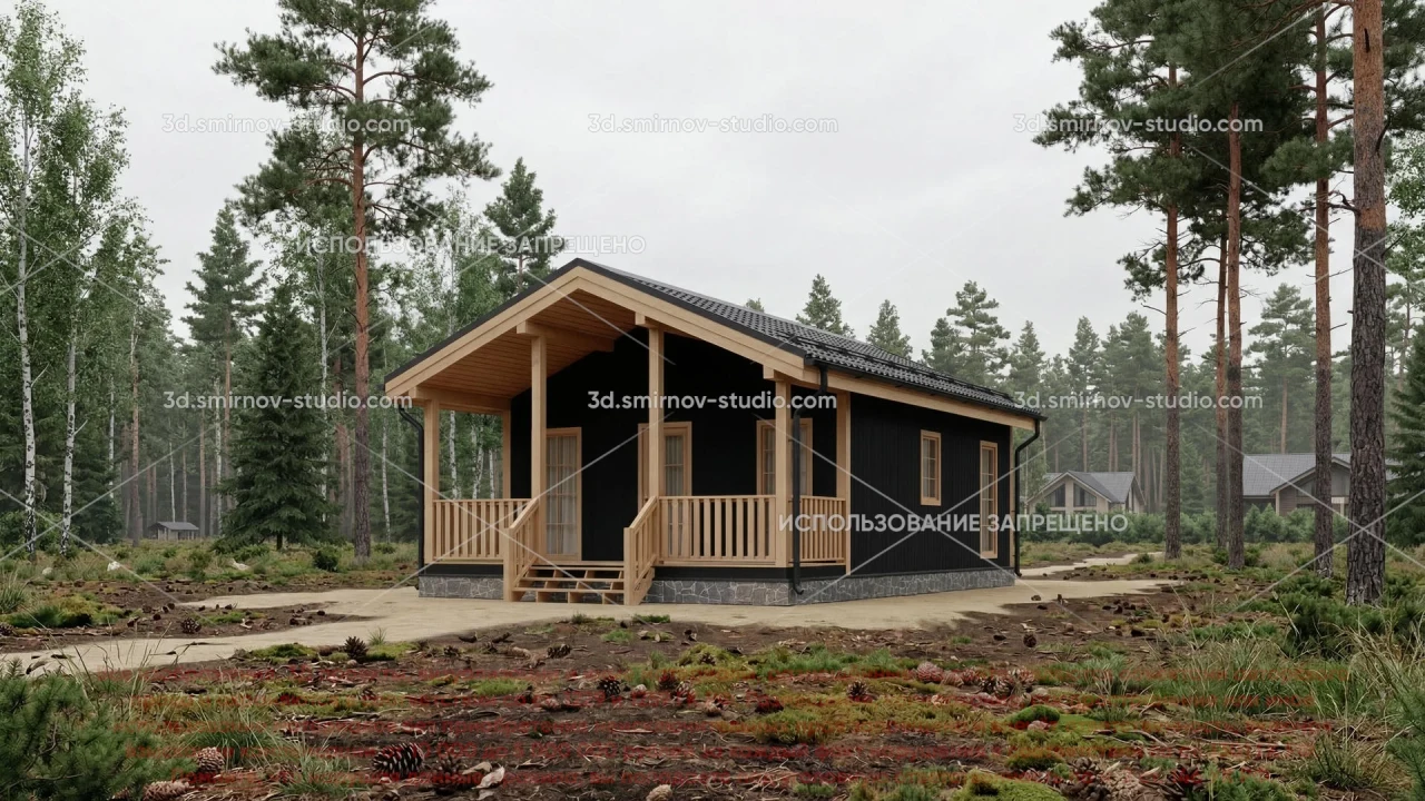 Project Image 1