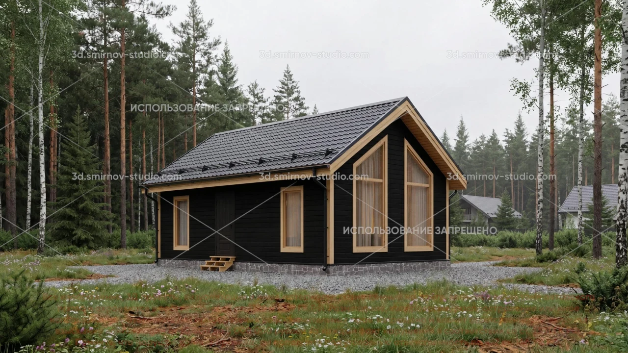 Project Image 1