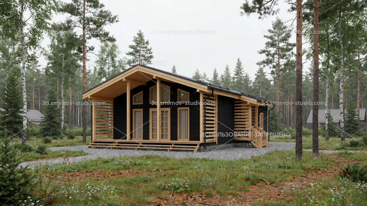 Project Image 1