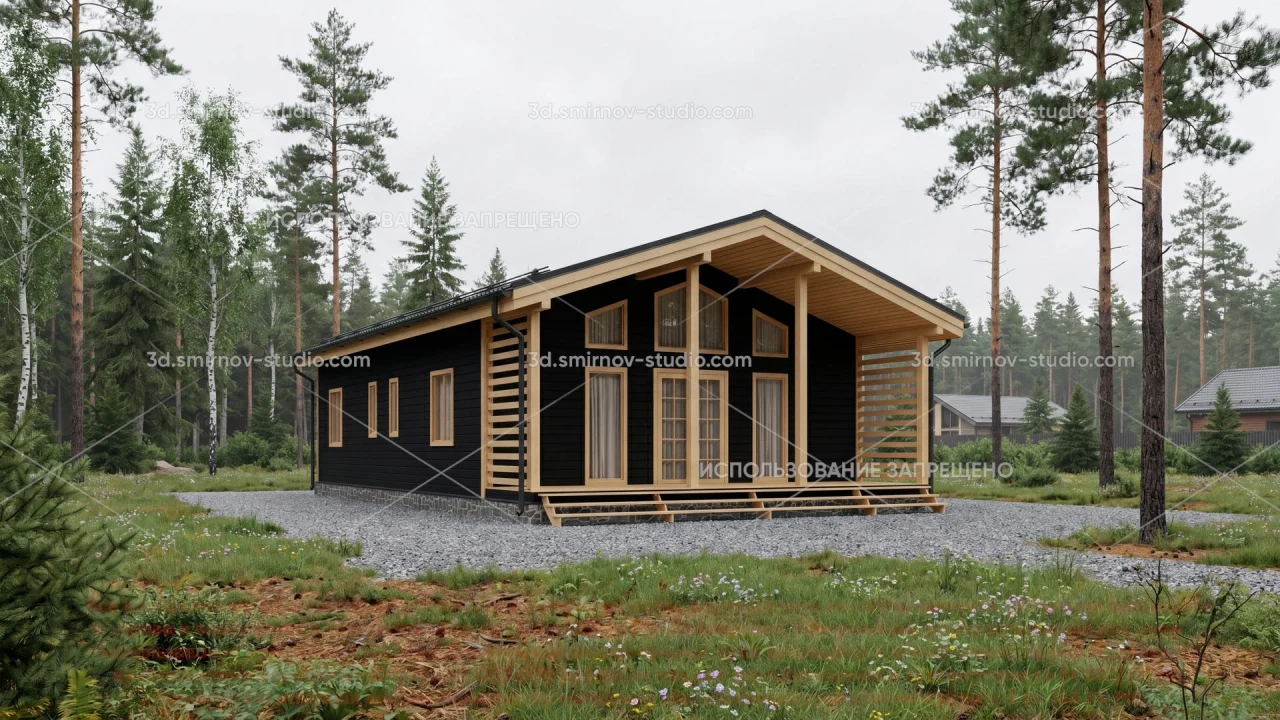 Project Image 2