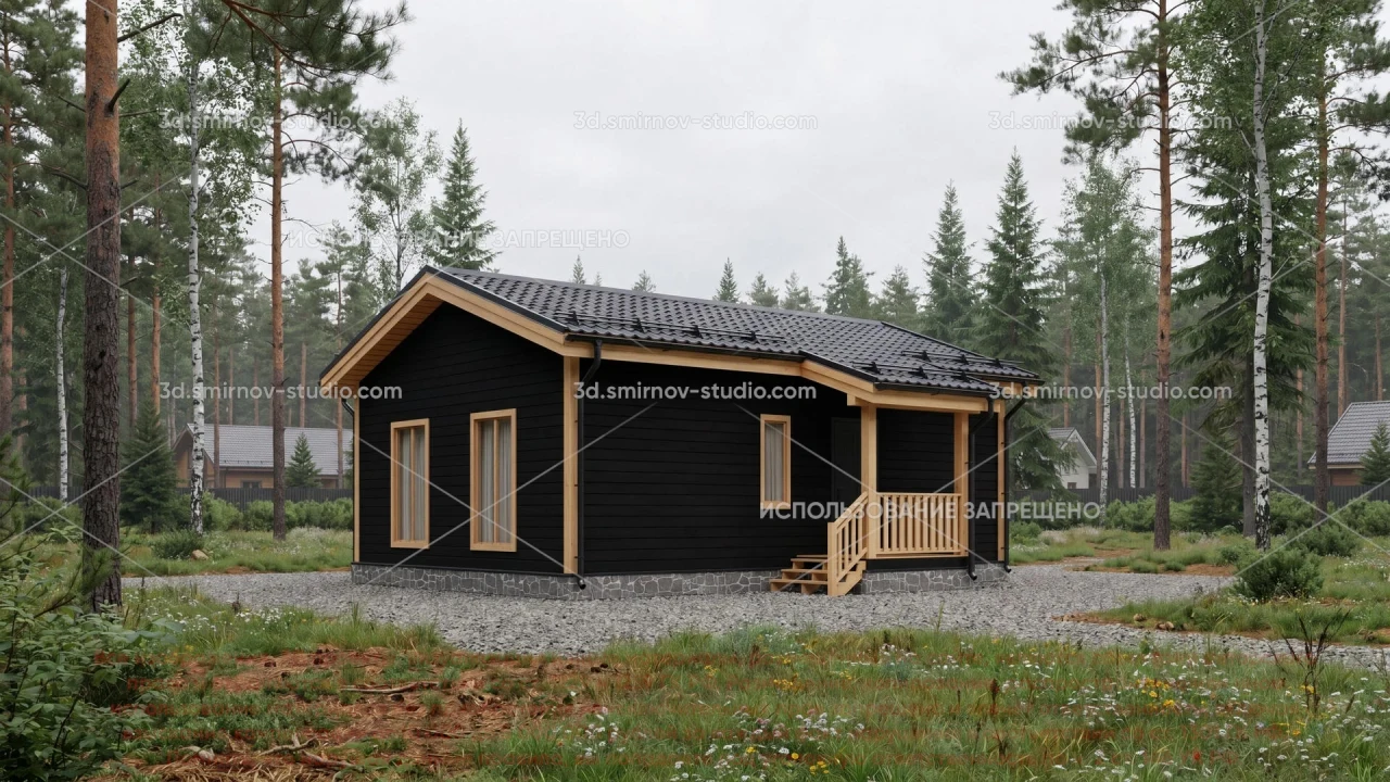 Project Image 1