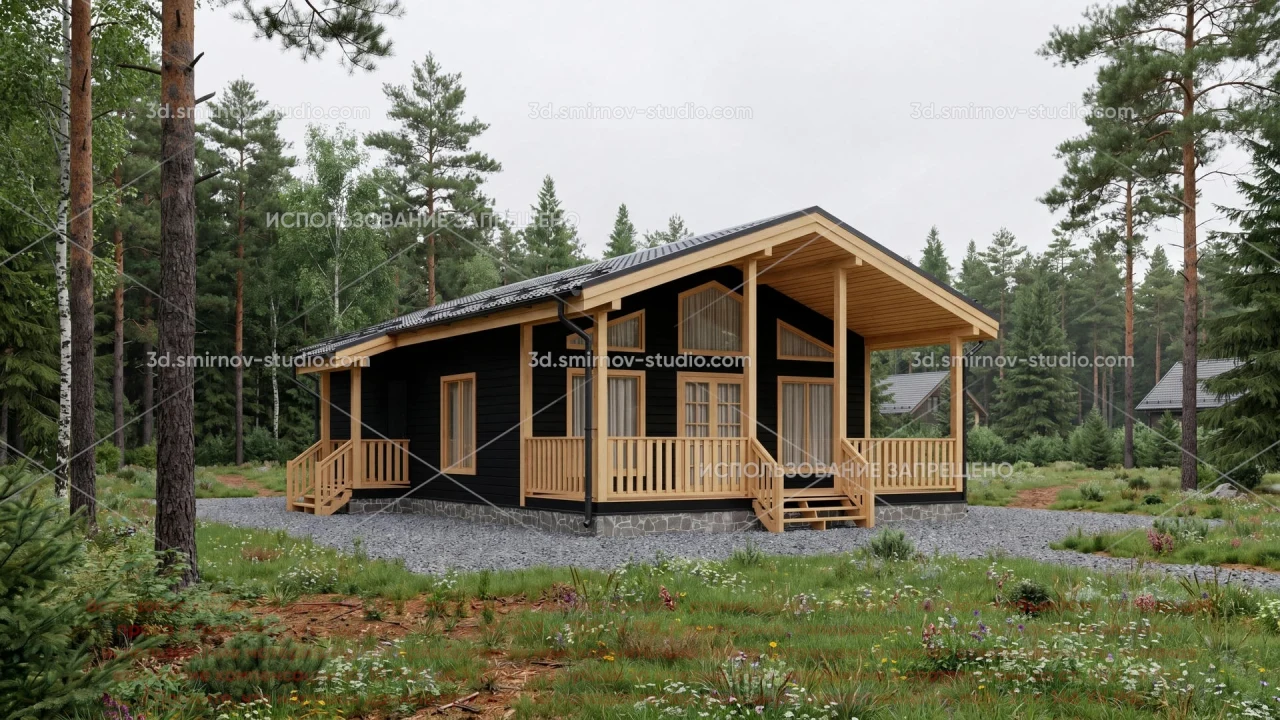 Project Image 1
