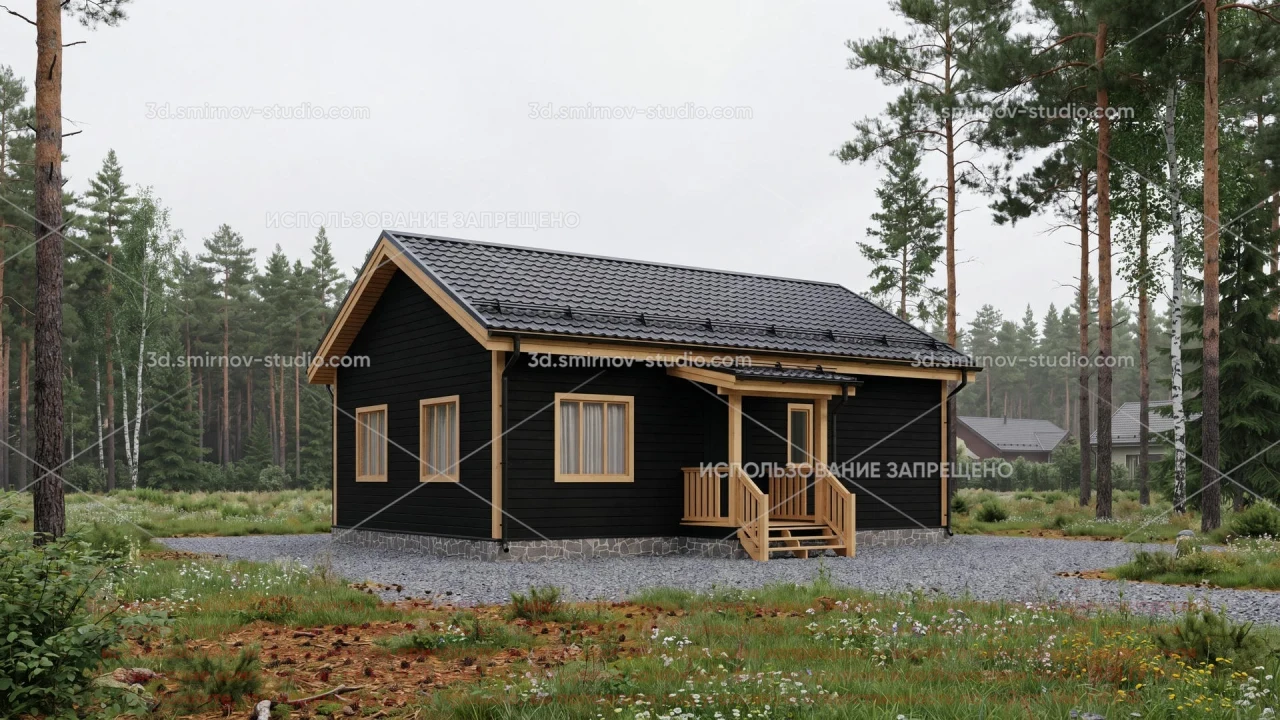 Project Image 1