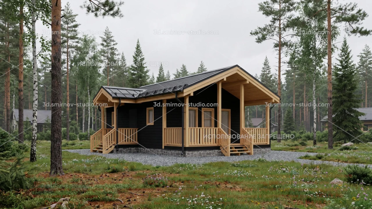 Project Image 1