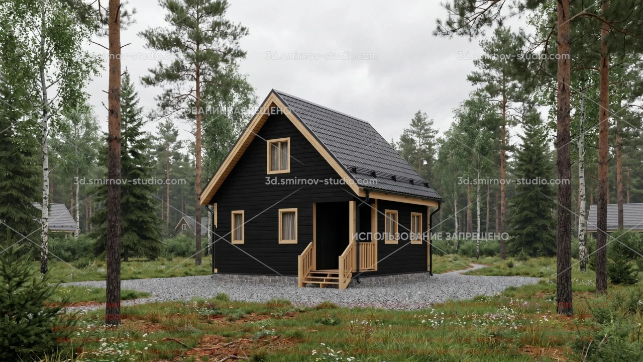 Project Image 1