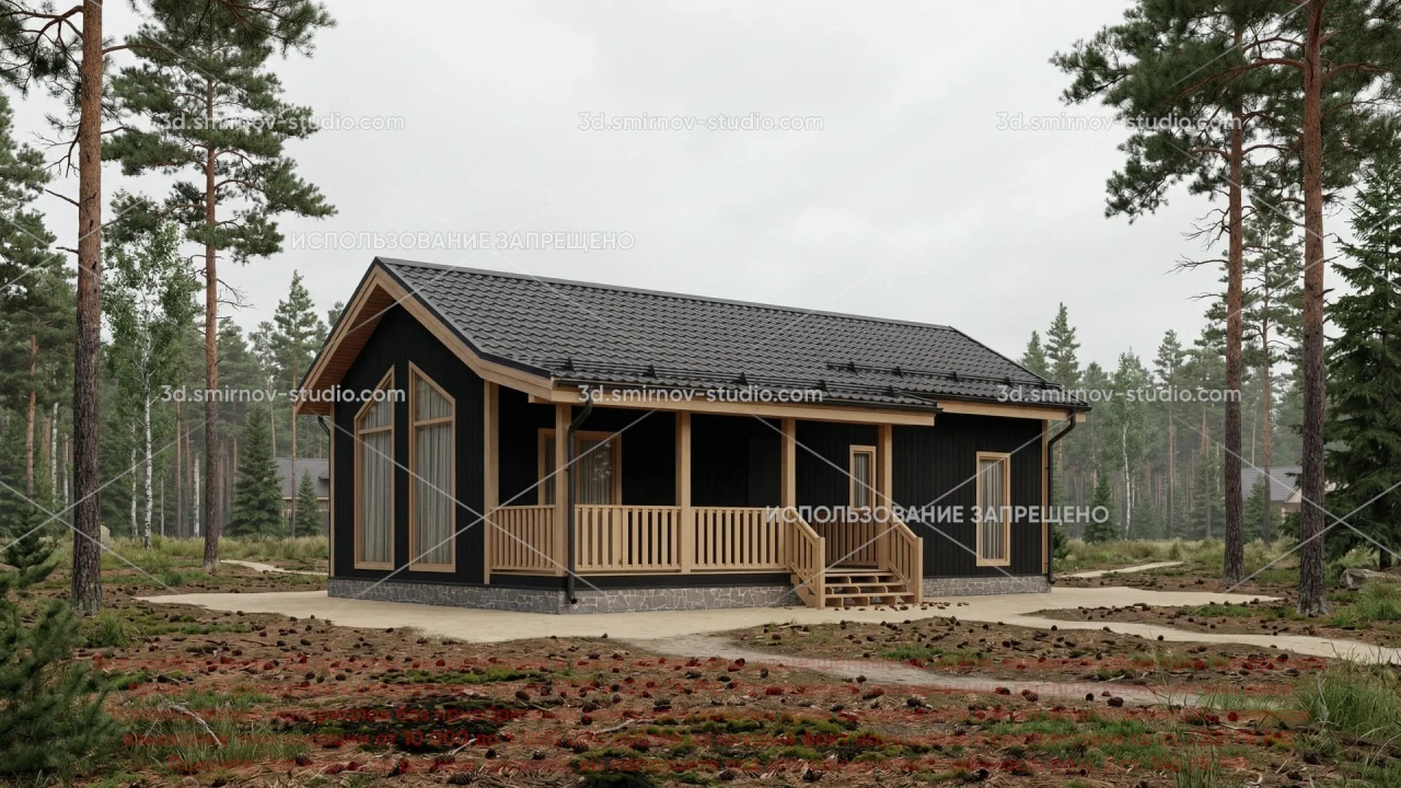 Project Image 1