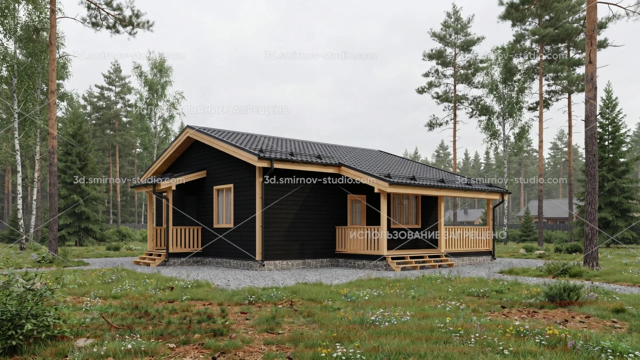 Project Image 1