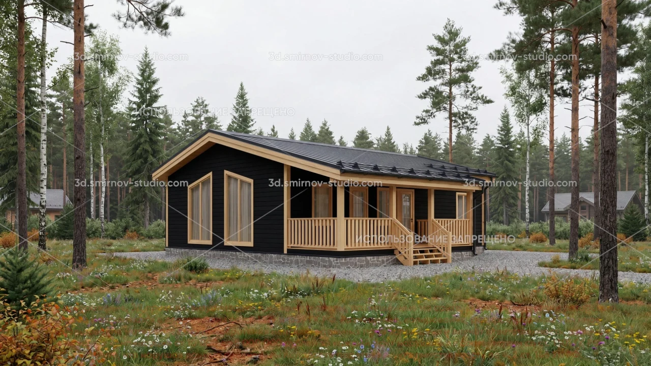 Project Image 1