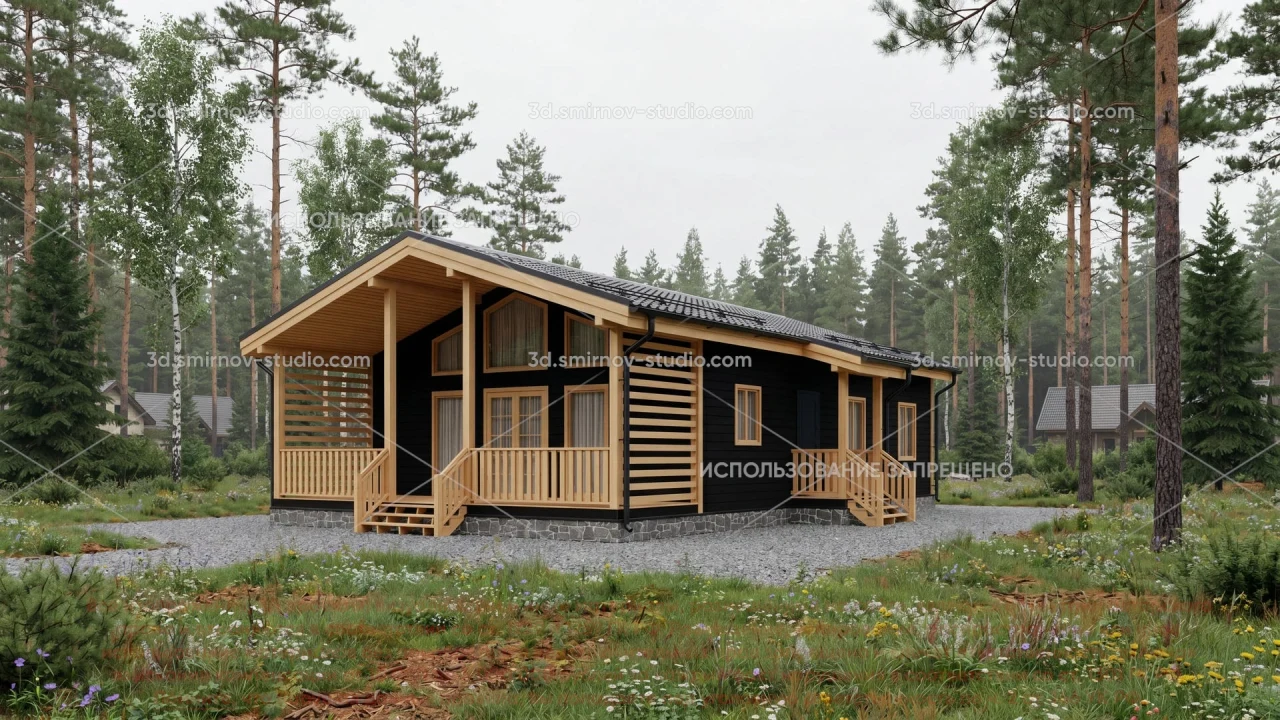 Project Image 1