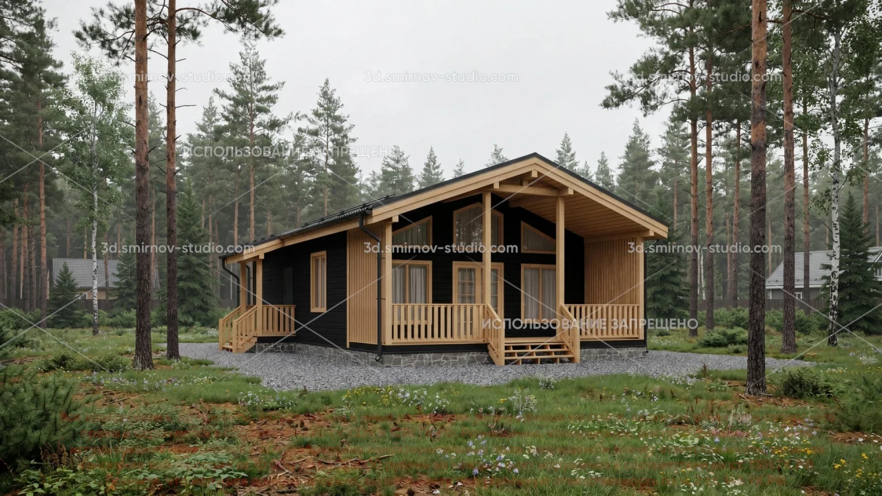 Project Image 1