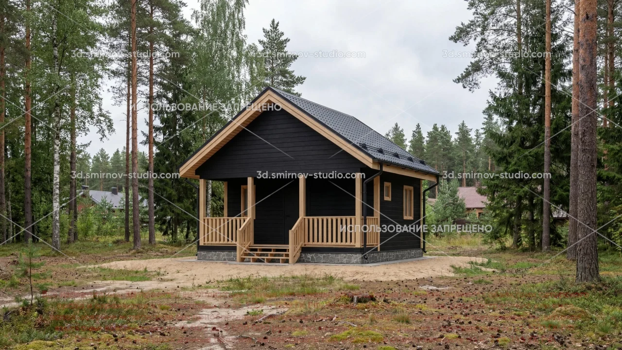 Project Image 1
