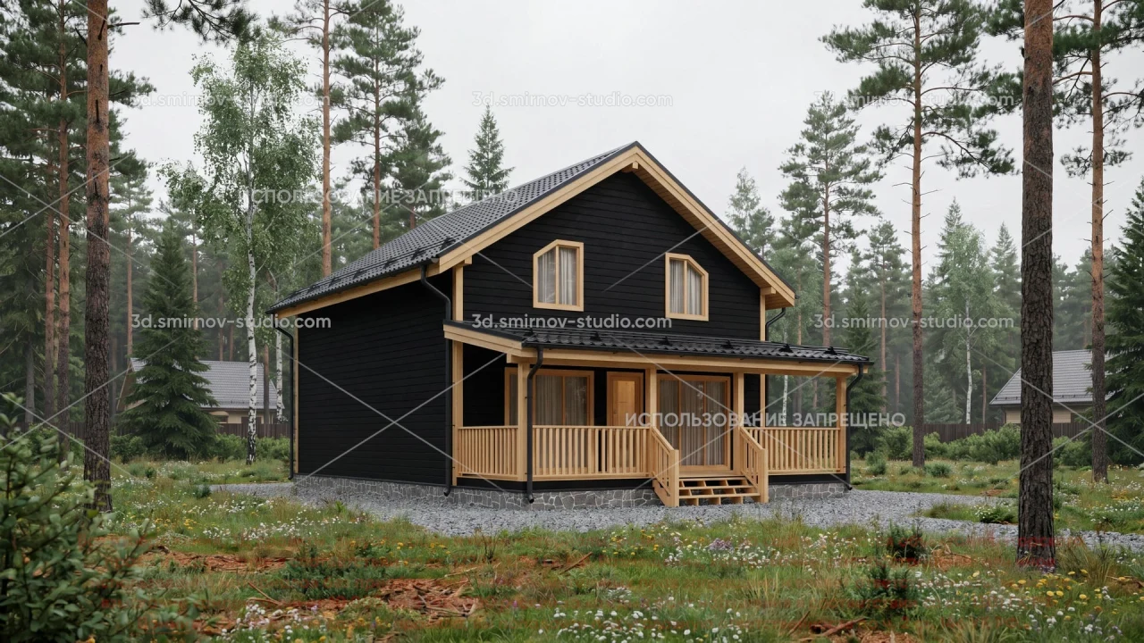 Project Image 1