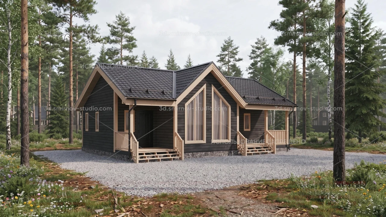 Project Image 1