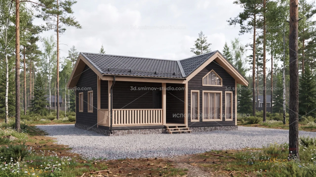 Project Image 1