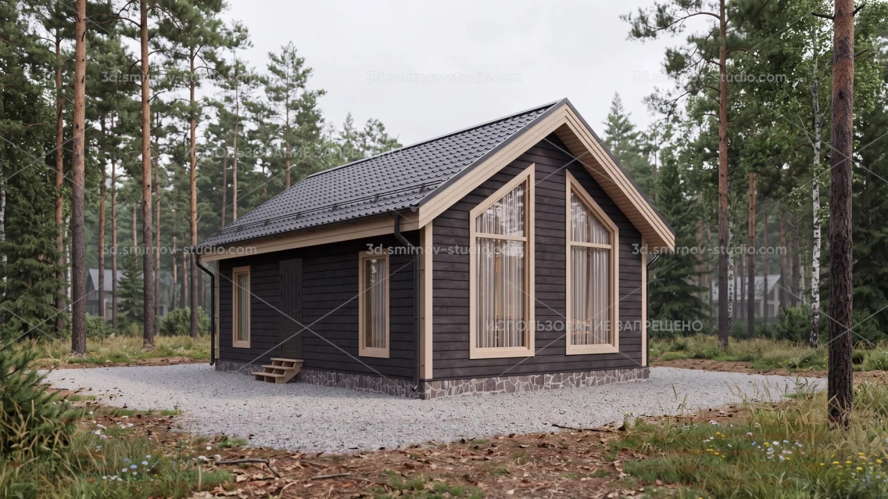 Project Image 1