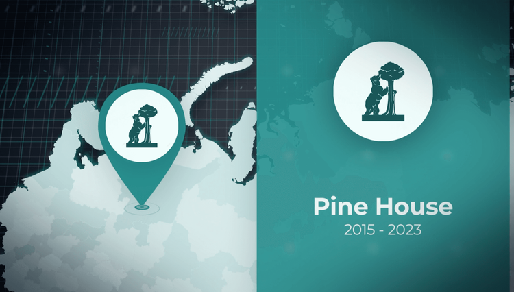 Моушн-дизайн